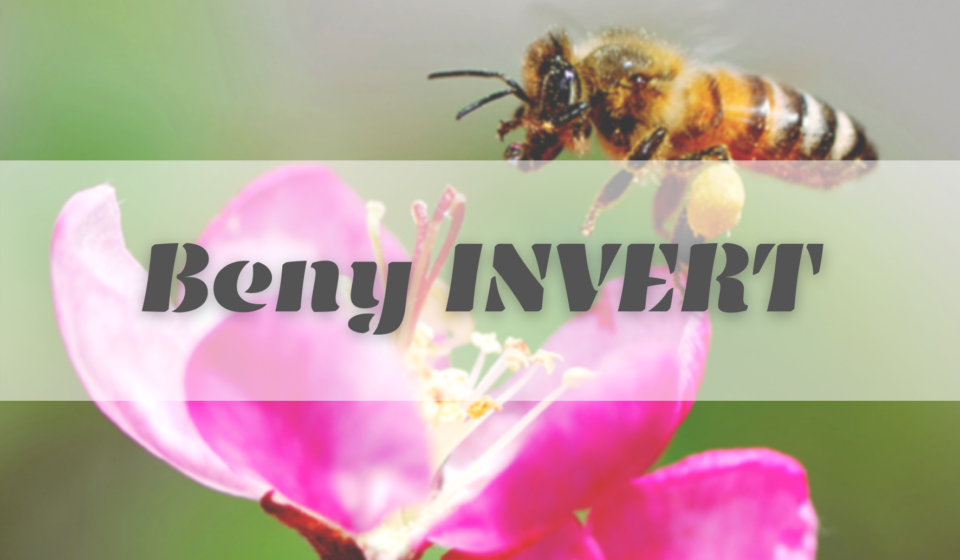 Beny Invert Sirup